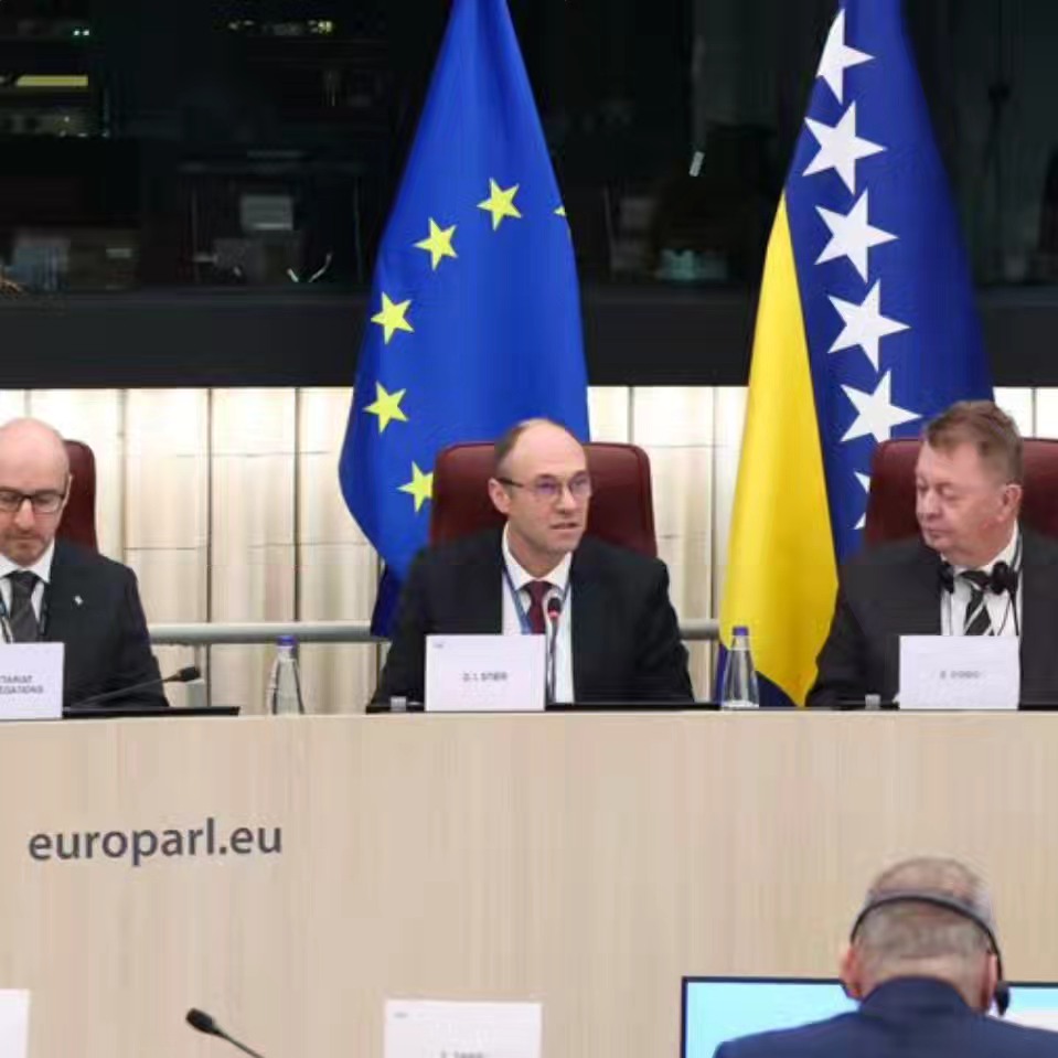 Stier predsjedao Parlamentarnim odborom EU–BiH: teme pregovora, izbornih reformi i mobilnosti u Schengenu