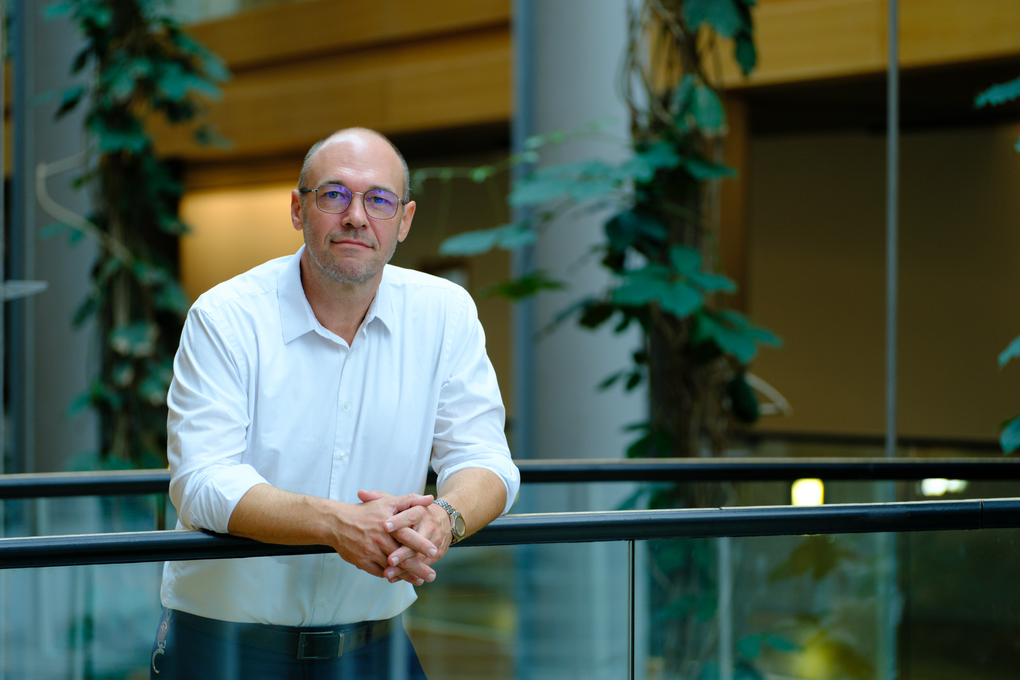 Davor Ivo Stier - Božićna čestitka